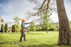  Davie, FL Tree Removal and Landscaping Services Pros